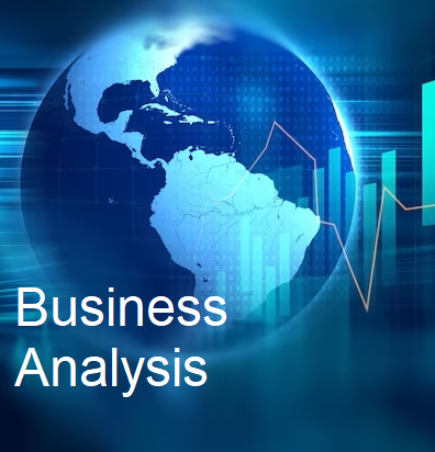Business Analysis